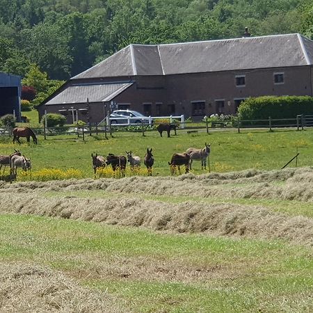 Les Mout'Anes Saint-Hilaire-sur-Helpe Exterior foto