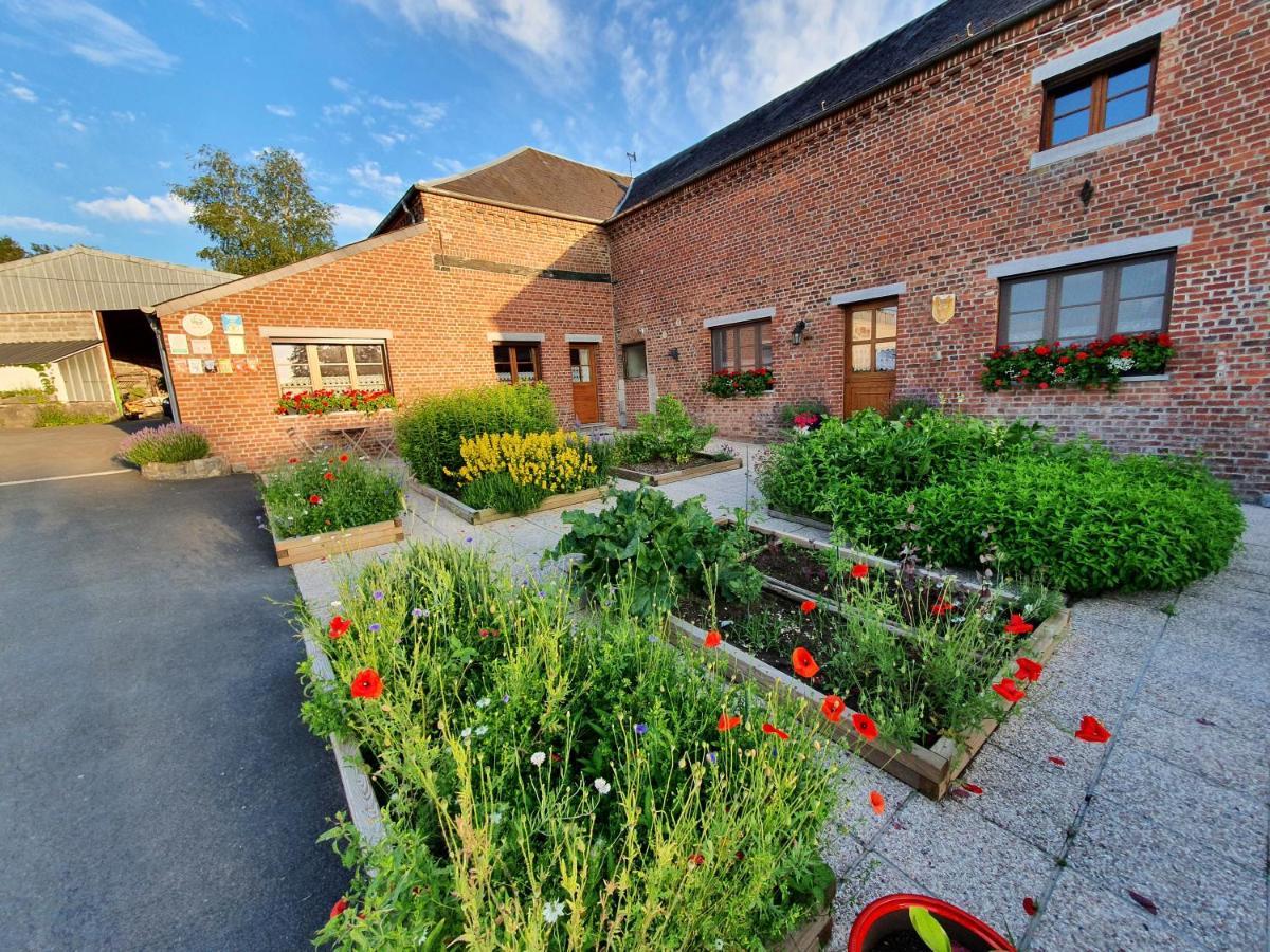 Les Mout'Anes Saint-Hilaire-sur-Helpe Exterior foto
