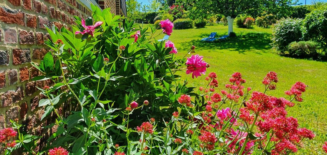 Les Mout'Anes Saint-Hilaire-sur-Helpe Exterior foto