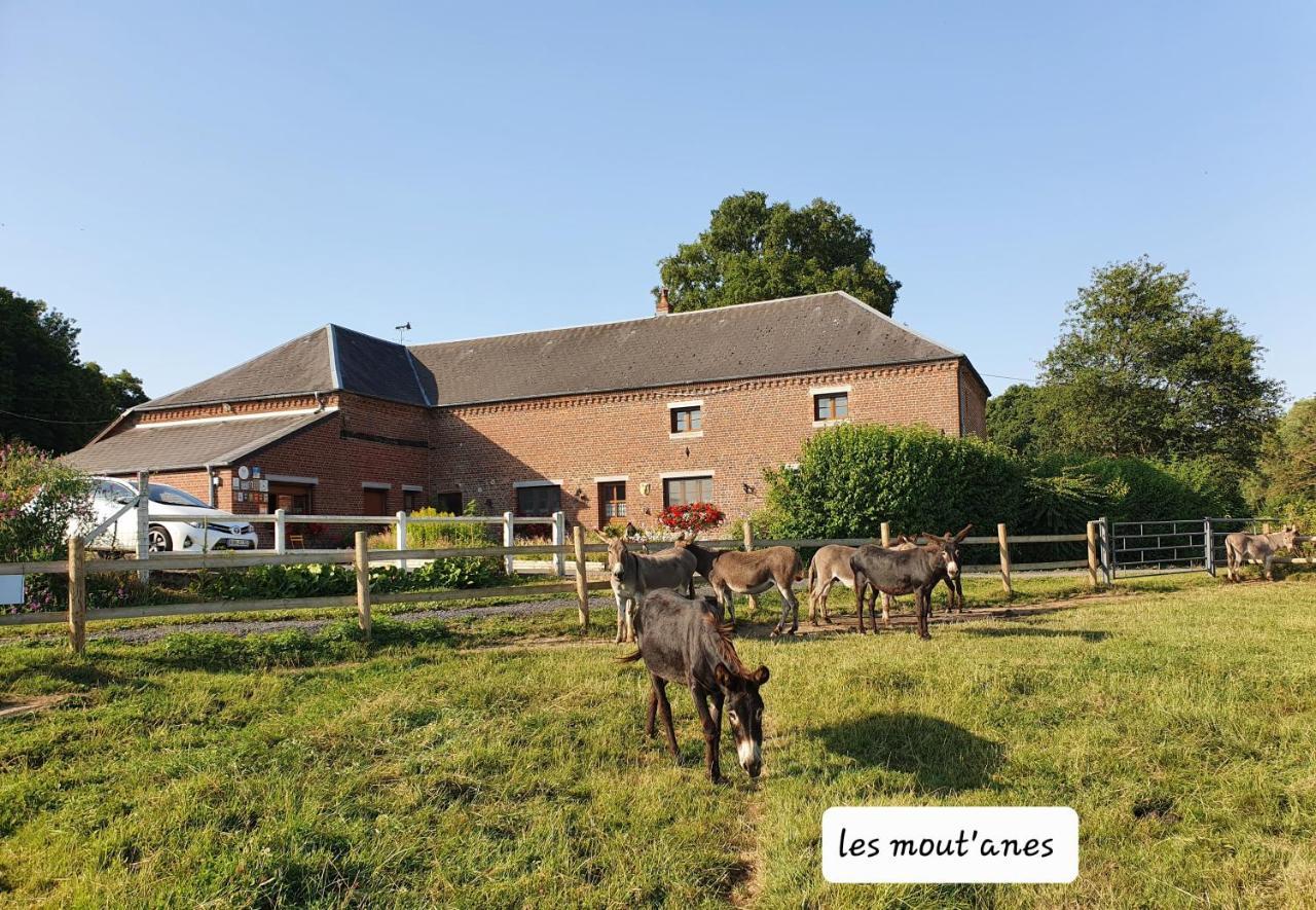 Les Mout'Anes Saint-Hilaire-sur-Helpe Exterior foto
