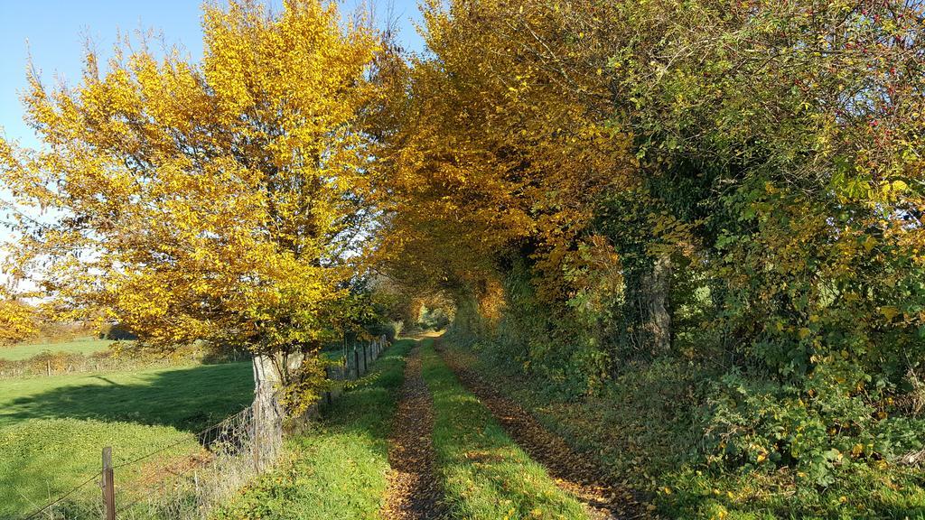 Les Mout'Anes Saint-Hilaire-sur-Helpe Exterior foto