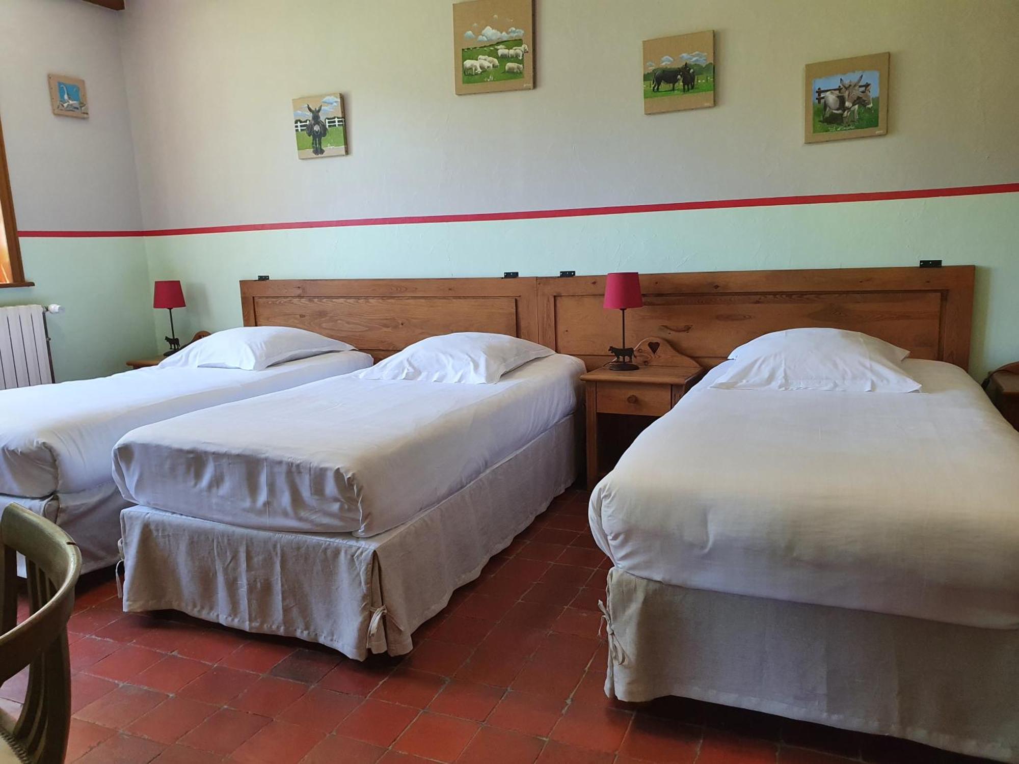 Les Mout'Anes Saint-Hilaire-sur-Helpe Exterior foto