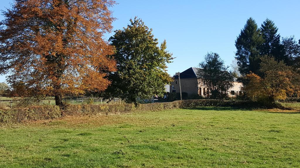 Les Mout'Anes Saint-Hilaire-sur-Helpe Exterior foto