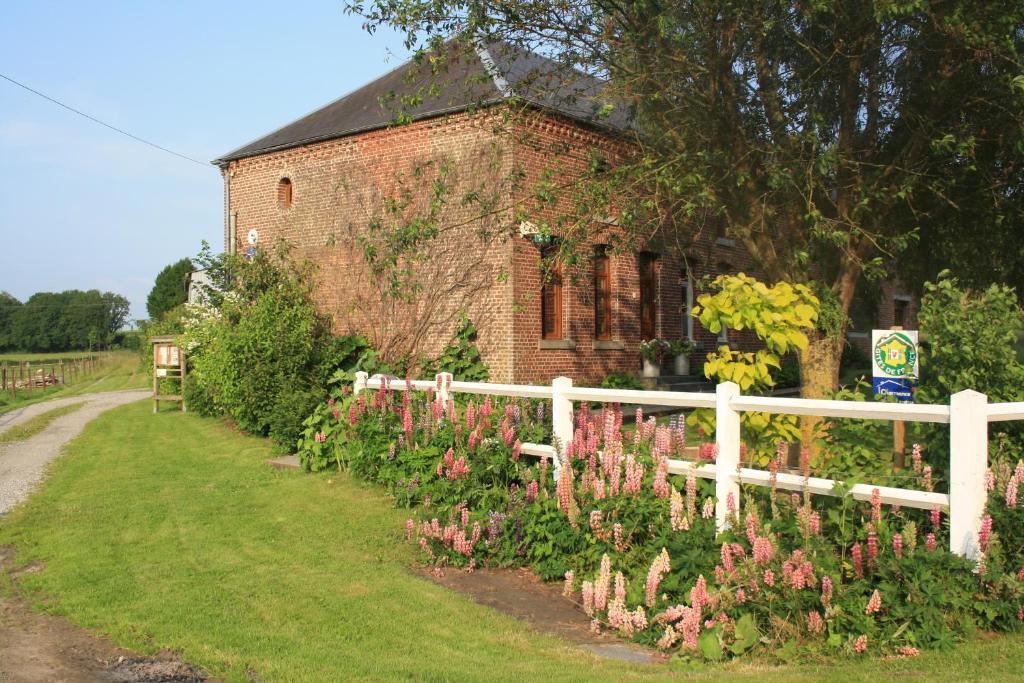 Les Mout'Anes Saint-Hilaire-sur-Helpe Exterior foto