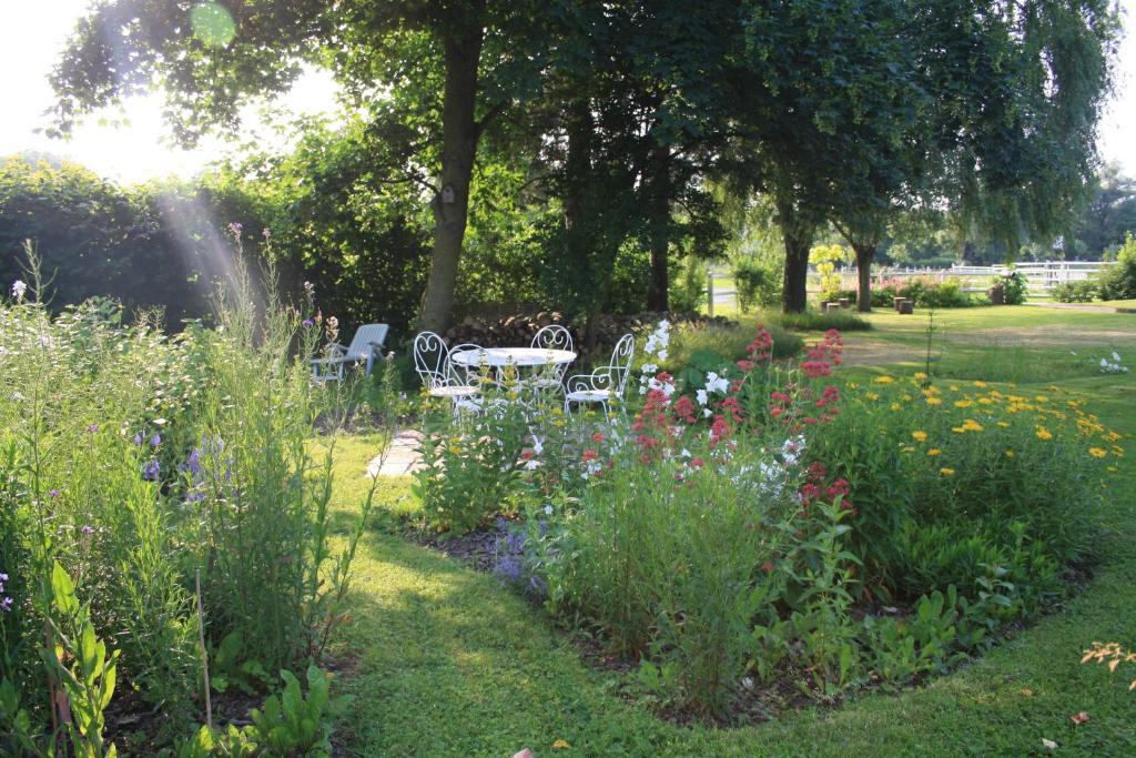 Les Mout'Anes Saint-Hilaire-sur-Helpe Exterior foto