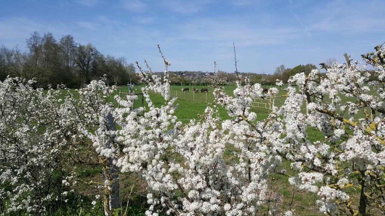 Les Mout'Anes Saint-Hilaire-sur-Helpe Exterior foto